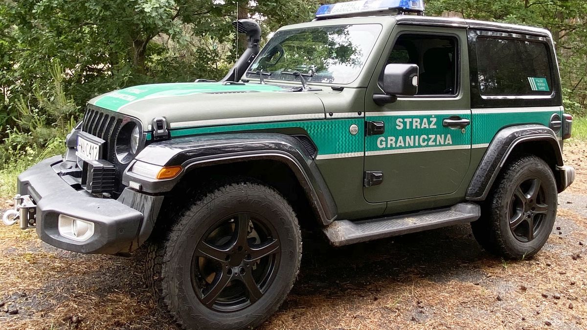 Strażnik graniczny bez udziału policjanta może wręczyć mandat za niektóre wykroczenia w ruchu drogowym