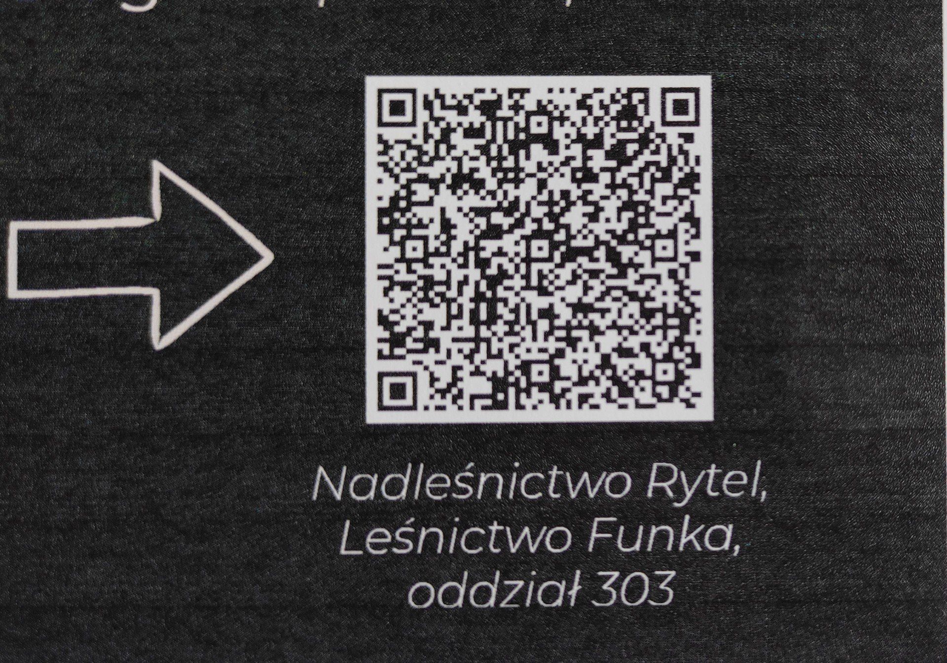 Wirtualna Polska