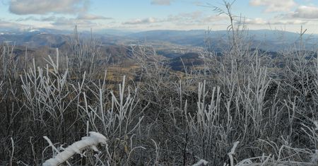 Pogorszenie pogody. Wracają przymrozki i silny wiatr
