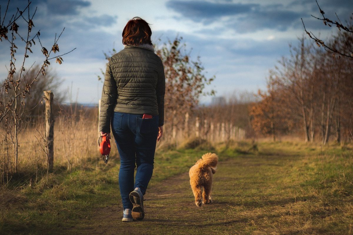 Jak powinien wyglądać spacer z psem? 