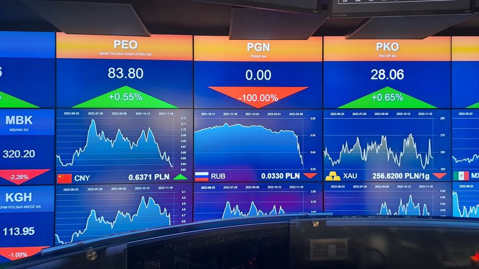 W Polsce sprawdzi się czarny scenariusz? Ekspert o nadchodzącym kryzysie