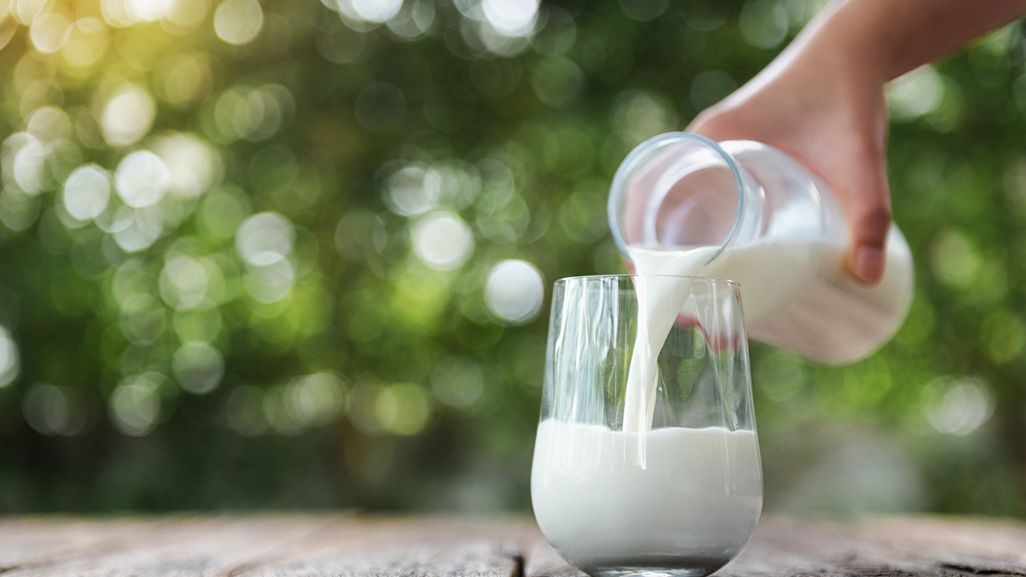 Mleko A2A2 a mikrobiota jelitowa człowieka