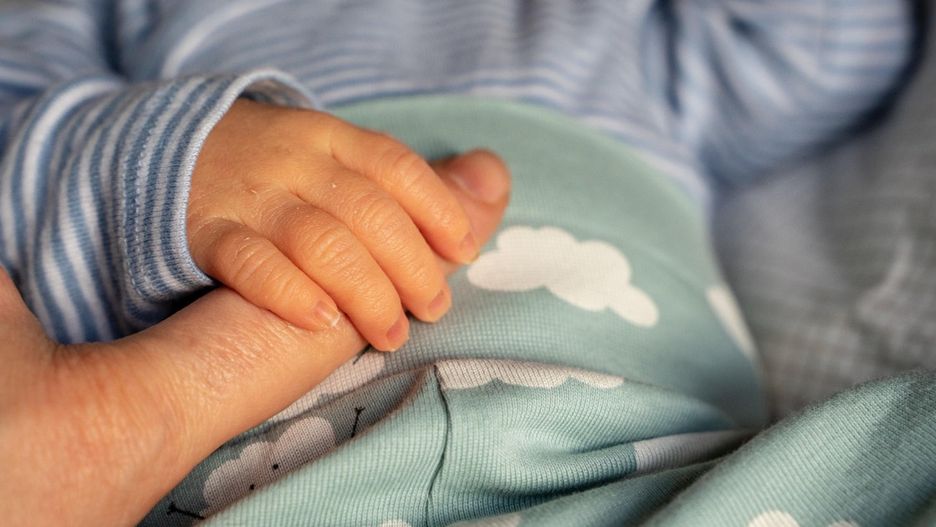 Obraz Thorsten Frenzel z Pixabay