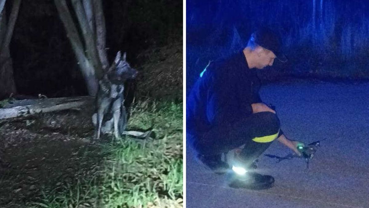 Zgubił się podczas grzybobrania. Pomógł policjant-myśliwy