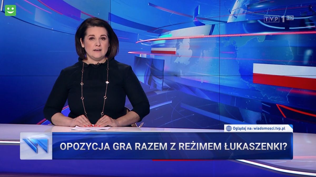 Frasyniuk, Kajdanowicz i politycy opozycji byli antybohaterami reportażu "Wiadomości"