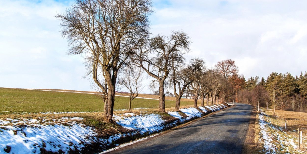 Toruń: Zima odpuszcza? Nadchodzą mgły, mżawka i dodatnie temperatury