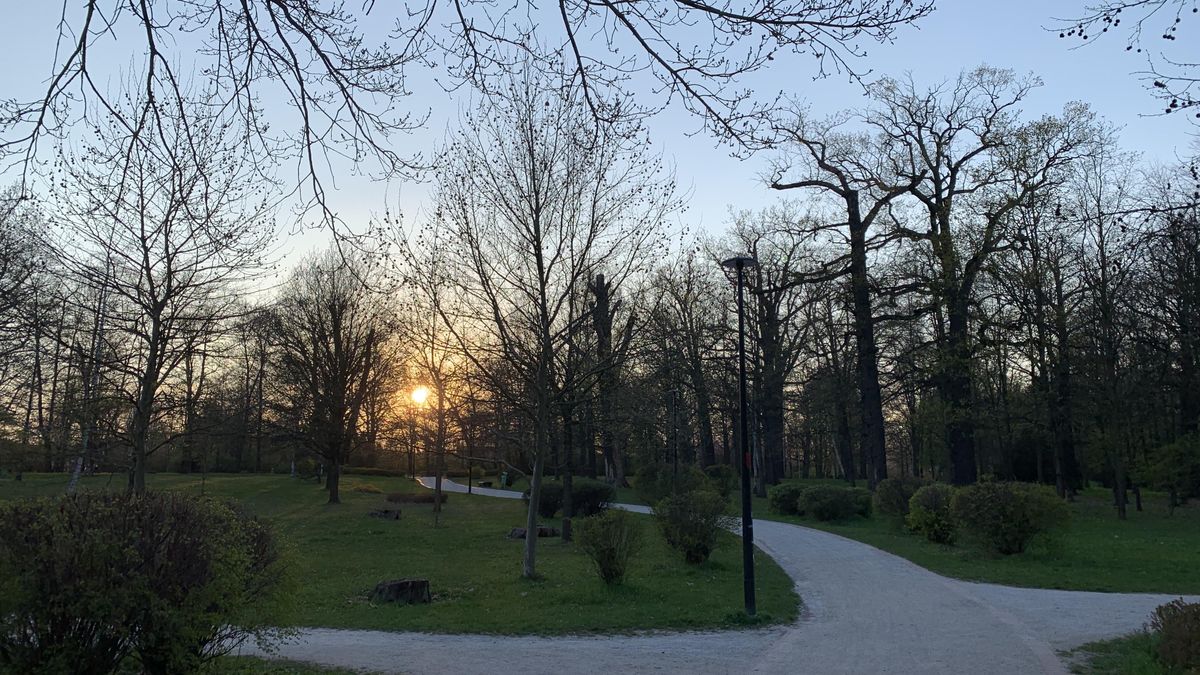 pogoda Wrocław park zachód słońca