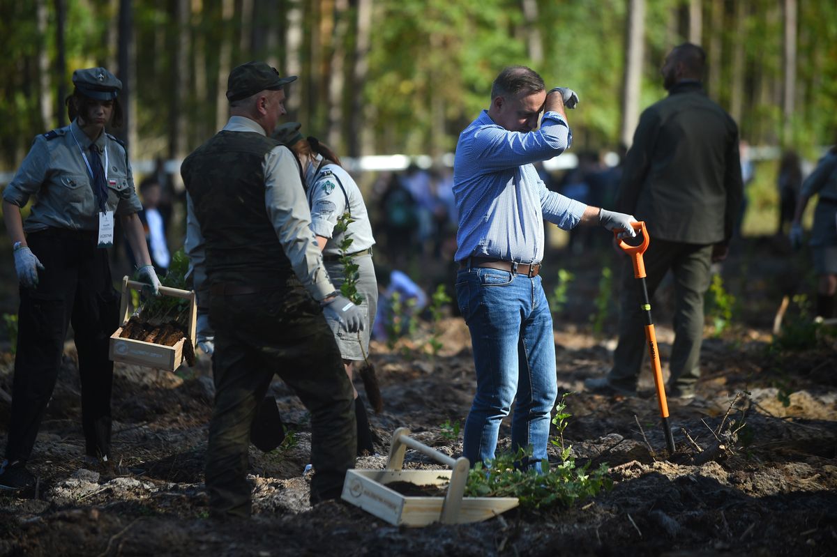 W piątek prezydent Polski Andrzej Duda uczestniczył w akcji sadzenia drzew Fot. Agencja Forum. 