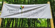 Tu był kiedyś wyciąg narciarski. Za nami prace w Parku Sobieskiego w Wałbrzychu. Co tu powstało?