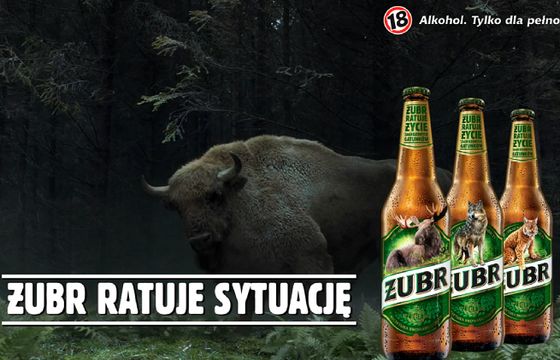 Żubr „ratuje sytuację” w kolejnej akcji na rzecz zagrożonych gatunków (wideo)