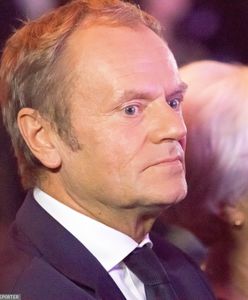 Kto w PO rzuca Tuskowi kłody pod nogi? Dwa nazwiska od eksperta