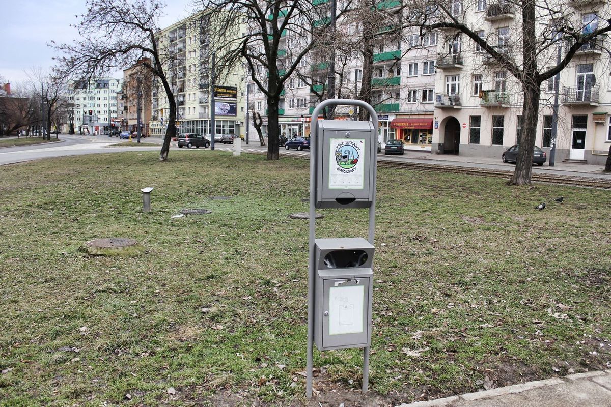 Warszawska gleba pełna pasożytów. Najbardziej narażone są dzieci