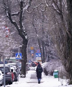 Pogoda. Warszawa. W poniedziałek więcej słońca