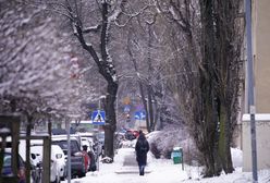 Pogoda. Warszawa. W poniedziałek więcej słońca