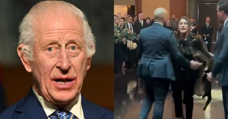 Incydent z polityczką na wystąpieniu króla Karola III w Australii. "Nie jesteś moim królem"