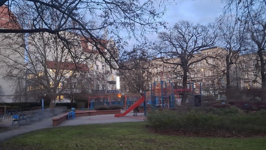 Szczurzy park we Wrocławiu. Kolejna &#34;atrakcja&#34;