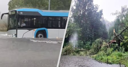 W ciągu godziny Zamość znalazł się pod wodą. "Przerażający rekord"
