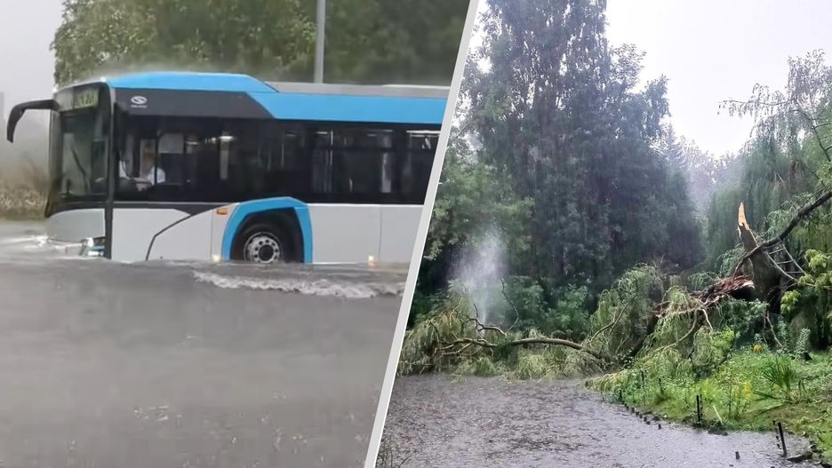 Powódź błyskawiczna w Zamościu. Ucierpiało m.in. miejskie zoo