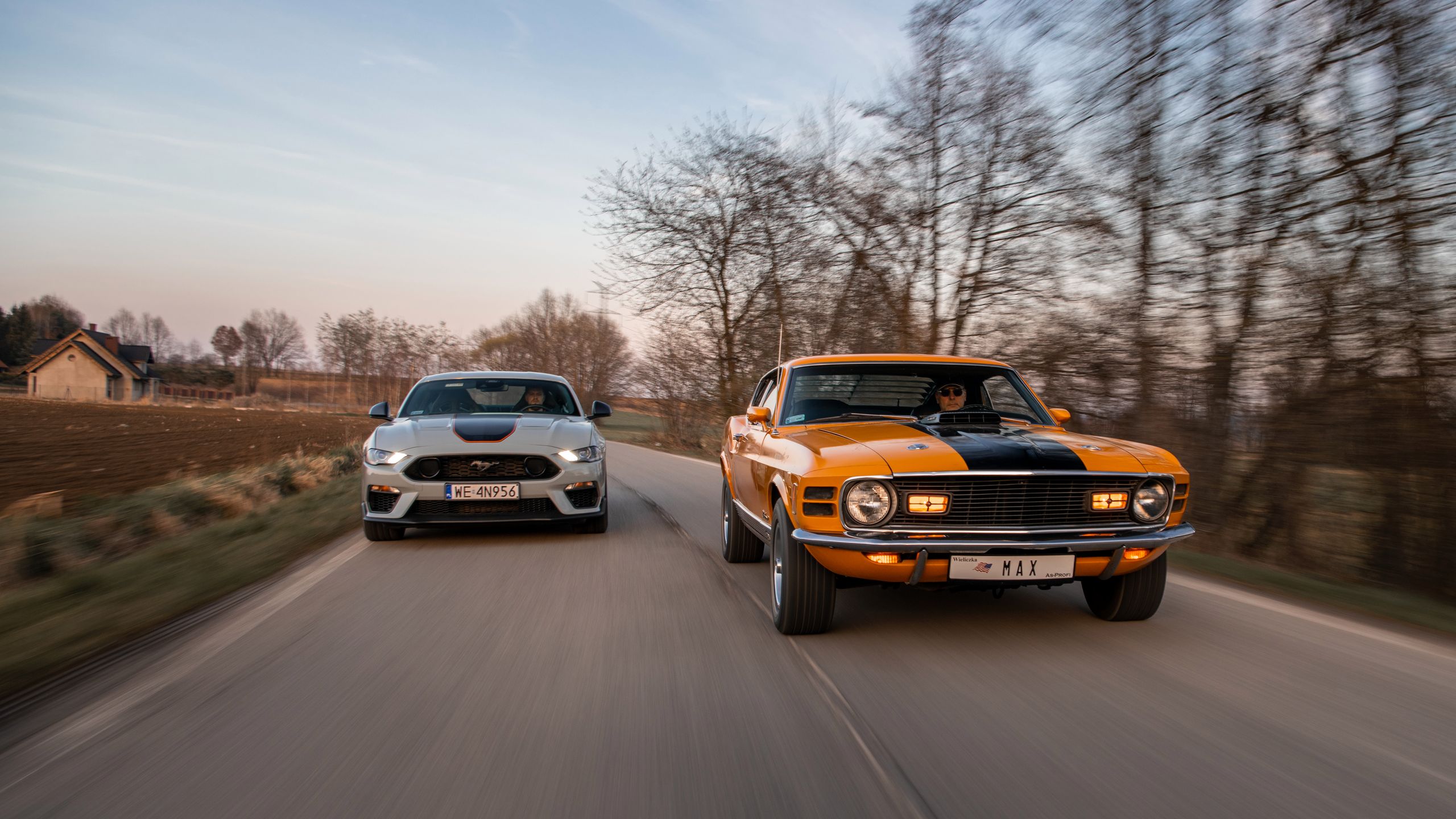 Ford Mustang Mach 1 vs. Mustang Mach 1 428 Cobra Jet