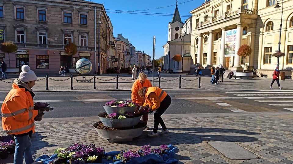 Jesienna wymiana kwiatów w donicach w centrum Lublina