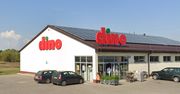 Tylko do 15 lipca. Dino kusi promocjami