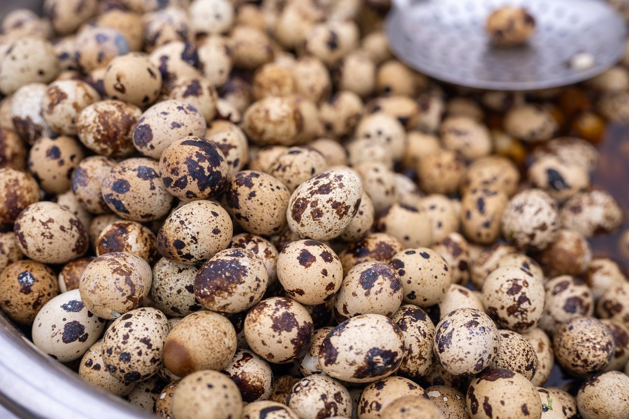 Quail eggs: The underrated superfood packed with protein and vitamins