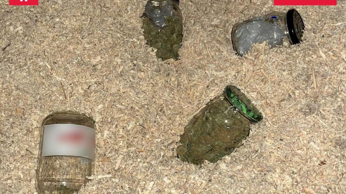 Funkcjonariusze przyjechali na posesję 19-latka. Miał narkotyki