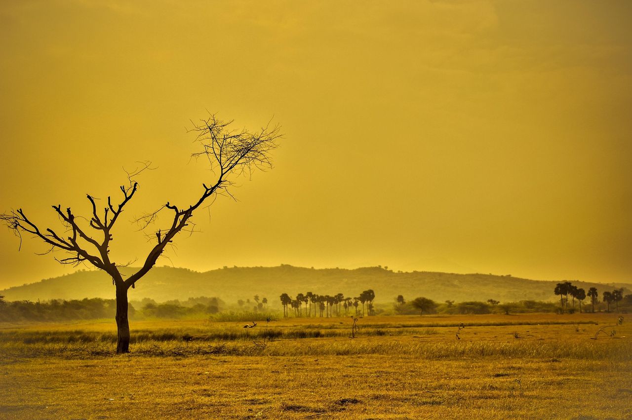 In the event of a climate disaster, five countries may survive.
