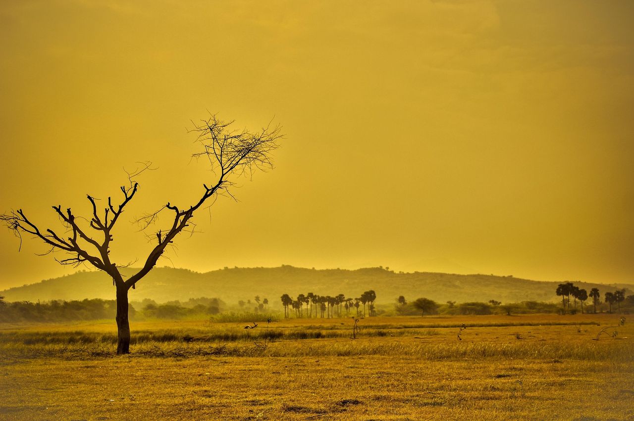 In the event of a climate disaster, five countries may survive.