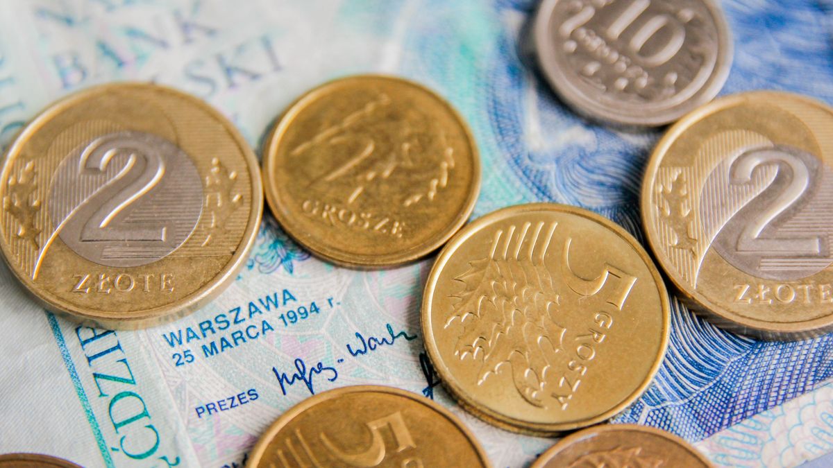 Polish currency
Polish currency
Kinga Krzeminska