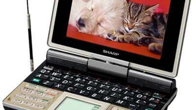 Elektroniczny słownik z mową owadów 1