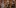 Jeremy Clarkson, James May i Richard Hammond wracają! Podpisali kontrakt z Amazon Prime