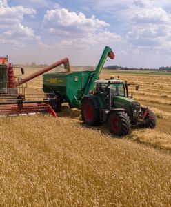 W żniwa koszą na wsiach najwięcej pieniędzy. Jak zostać kombajnistą?