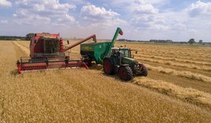 W żniwa koszą na wsiach najwięcej pieniędzy. Jak zostać kombajnistą?
