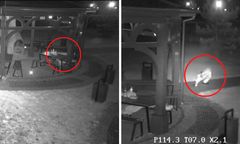 Niecodzienna interwencja w Inowrocławiu. To nagranie podbija sieć