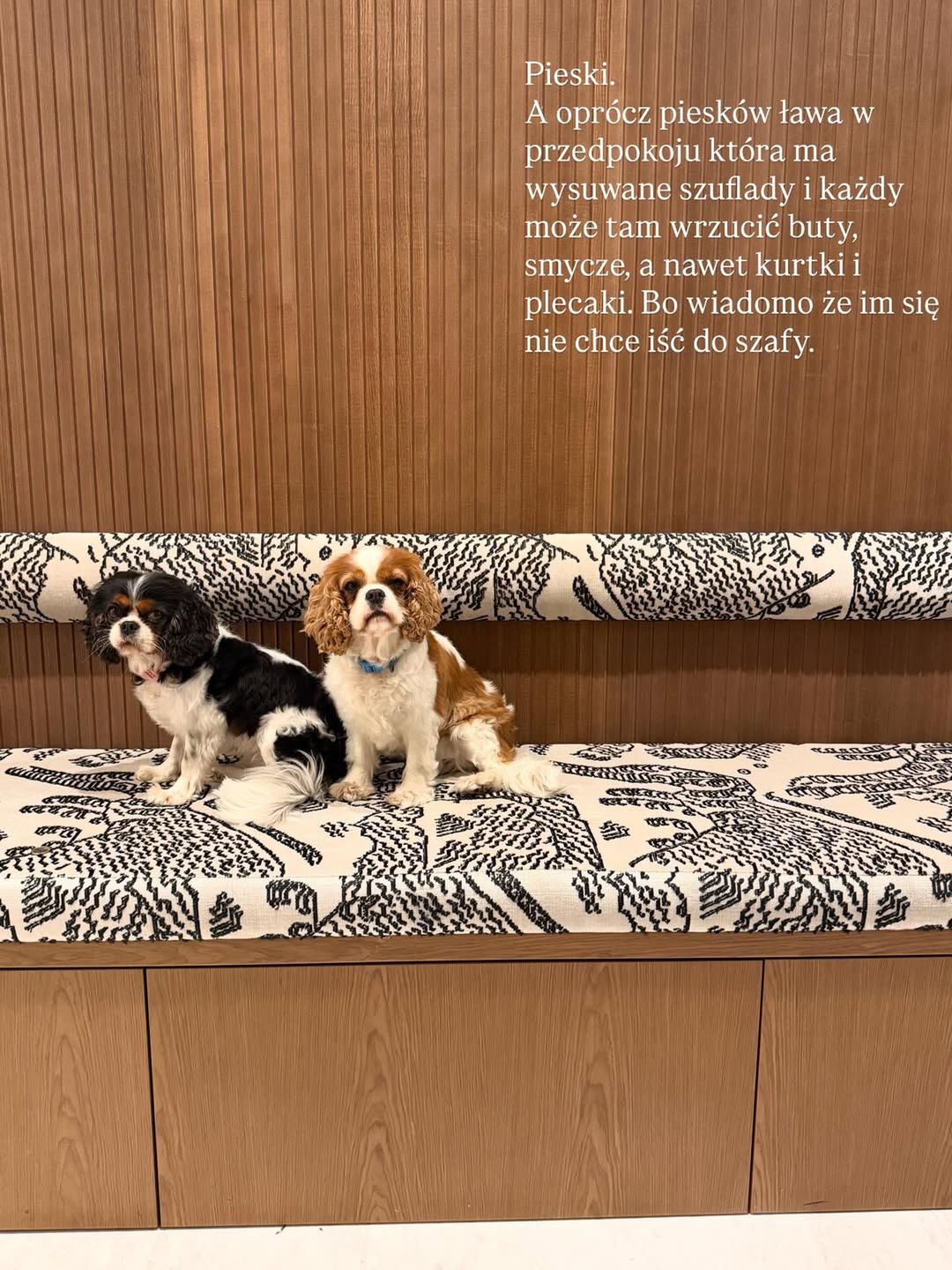 Maja Bohosiewicz zaopatrzyła się w ławę