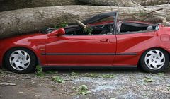 Dobra decyzja jest zawsze smart, jak Smart Casco