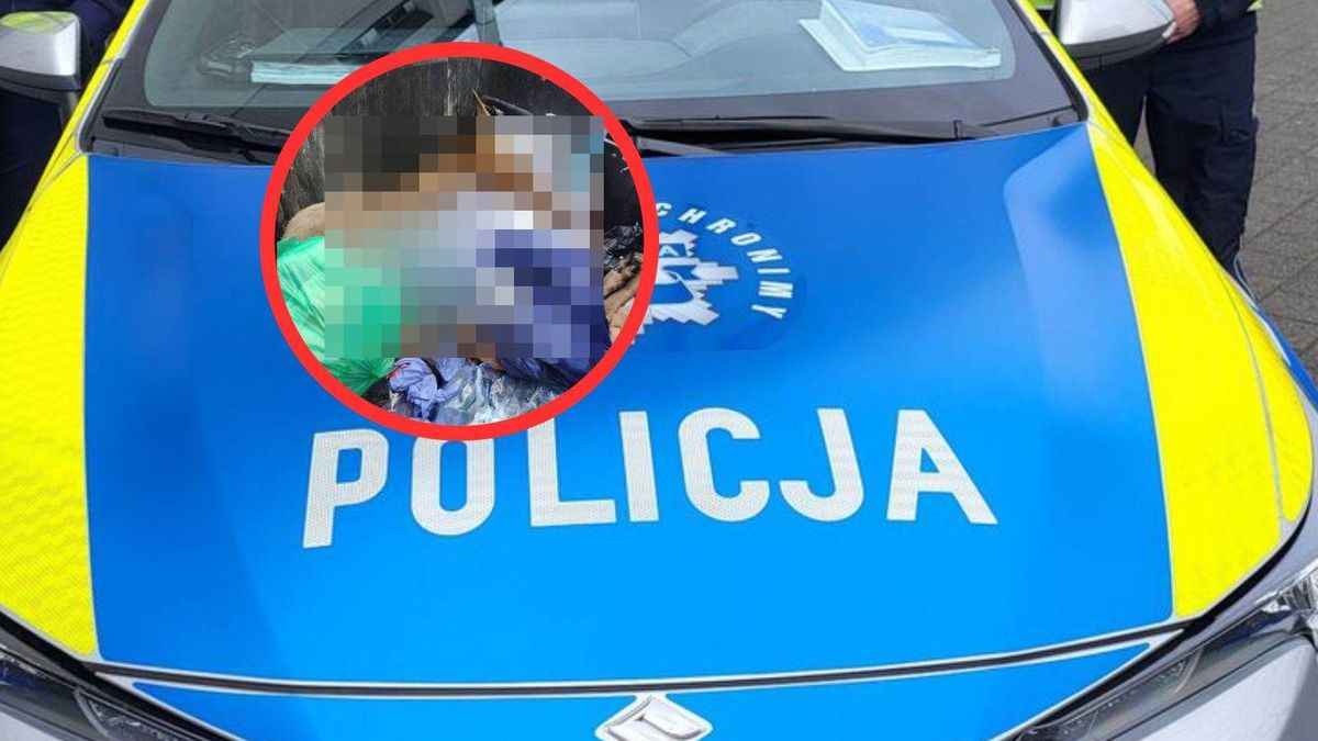 Makabryczne odkrycie w Bydgoszczy