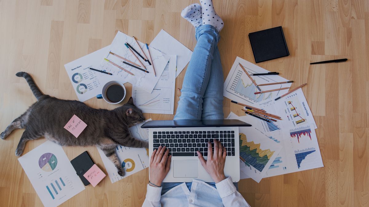 Zamiast kupować jeden program i być przez lata ograniczonym tym, że nie mamy dostępu do coraz nowszych i przydatnych funkcji, dostajemy stale rozbudowywane narzędzie, które się aktualizuje na bieżąco, w miarę dodawania do niego kolejnych ulepszeń. Tak działa Microsoft 365