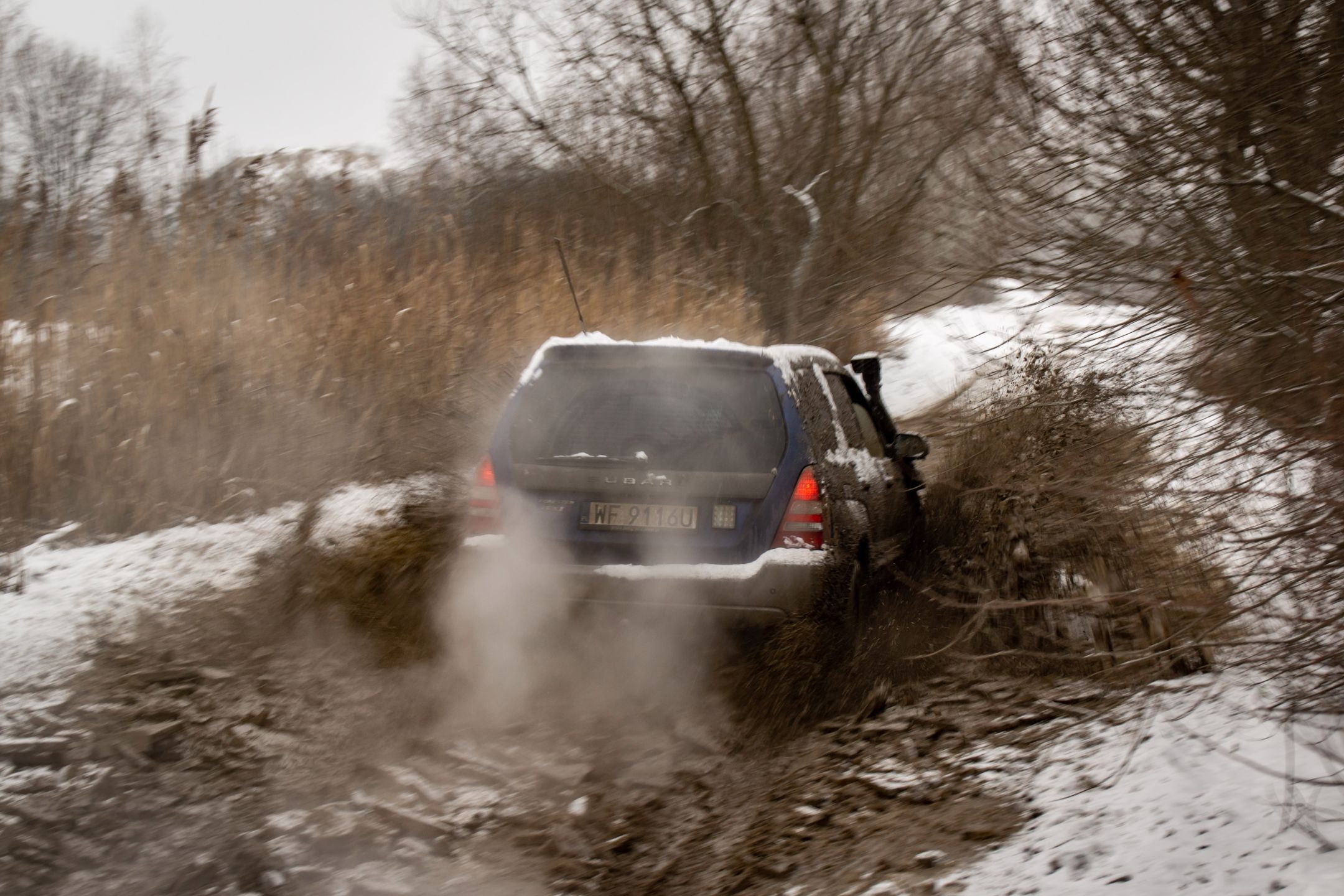 Subaru Forester uwielbia taplać się w błocie
