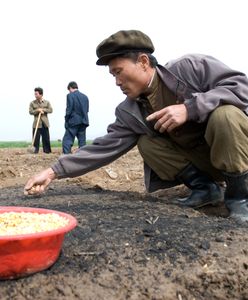 Koreańczycy są wściekli. Drastyczne różnice cen