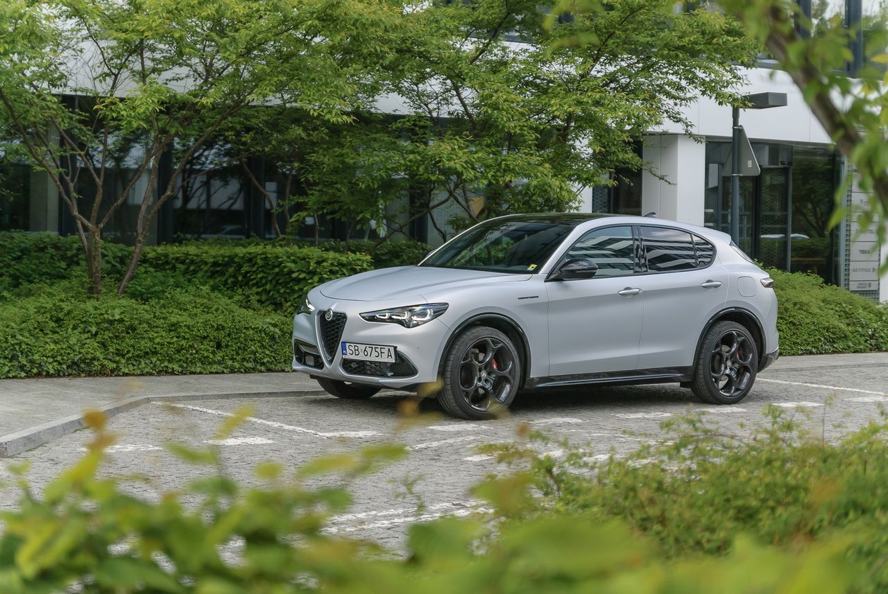 Test: Alfa Romeo Stelvio 2.0 280 KM Competizione po liftingu - to jest definicja mieszanych uczuć