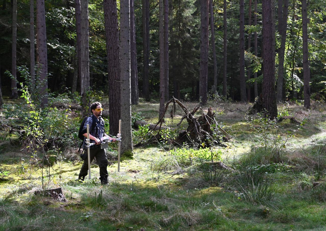 Miasto opuszczono w nieznanych okolicznościach. Teraz mówi się o wielkim odkryciu