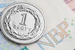 Złoty na razie straci siłę do wzrostów