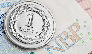 Złoty mocniejszy. Radość nie potrwa długo?