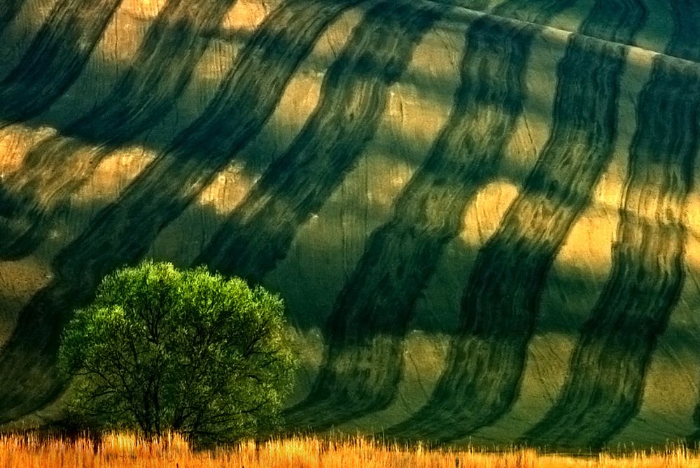 Pejzażysta rozpoczął swoją przygodę z fotografowaniem ponad trzydzieści lat temu, kiedy pobierał nauki w szkole leśnej. Grupa jego starszych kolegów zajmowała się fotografią przyrodniczą. Ciągle rozszerzana wiedza sprawiała, że fotografowanie sprawiało mu coraz większą przyjemność. Działało to na niego jak perpetum mobile, gdzie wiedza napędzała praktykę, a ta wymagała ciągłego samodoskonalenia.