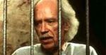 John Carpenter chce Amy Adams