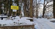 Sopot: Miasto szykuje się do rozbudowy cmentarza