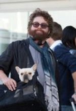 Zach Galifianakis nie pójdzie na randkę z Ke$hą