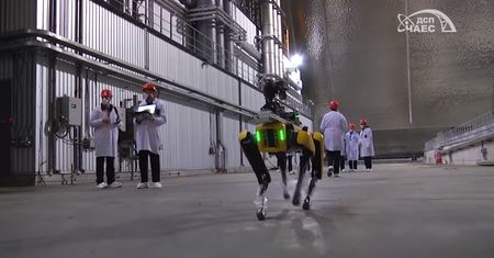 Pies-robot został zatrudniony w Czarnobylu. Sprawdza poziom promieniowania